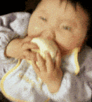 11.gif