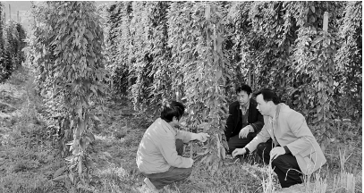 2WHB3~83Q@Z%5DG[B{B`I(F.png 2WHB3~83Q@Z%5DG[B{B`I(F.png