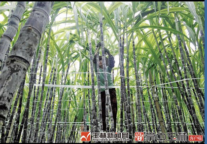 微信截图_20171216083340.png