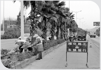 QQ截图20180316082341.png