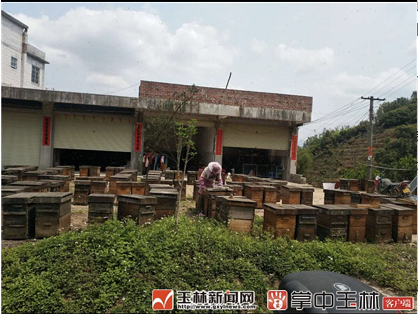 微信截图_20180403082341.png