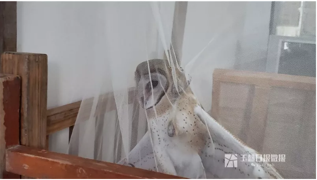 微信截图_20180407082209.png