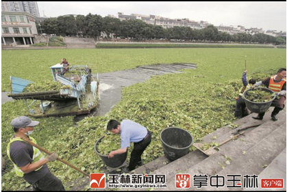 微信截图_20180415082727.png