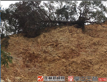 微信截图_20180428082659.png
