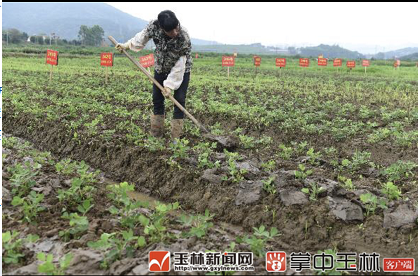 微信截图_20180504083808.png