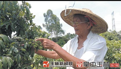 微信截图_20180525082259.png