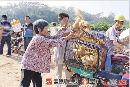 微信截图_20180620083216.png