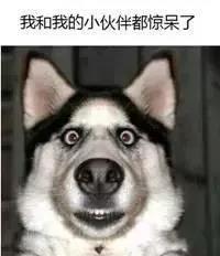 微信图片_20180801082615.jpg